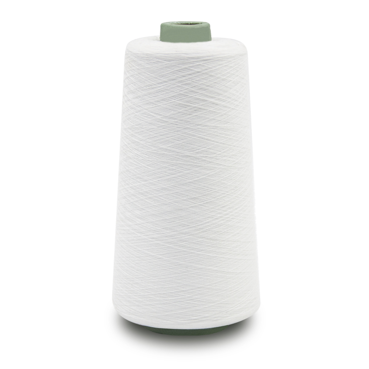 Polyester thread (1)(3).jpg